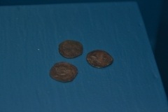 thumbs_DSC_0009